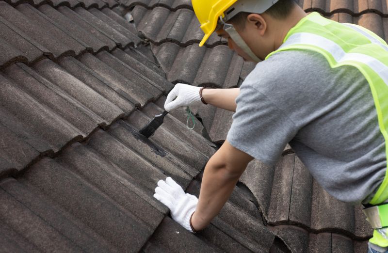 Roof Repair Expertise